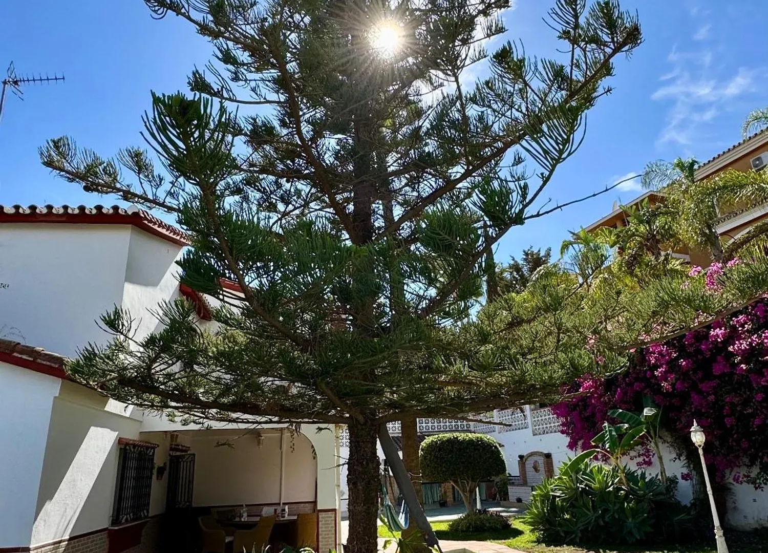 B & B La Casa De Pintor 贝纳尔马德纳 公寓
